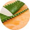 Despunte de hojas de Aloe Vera - AbsolutAloe